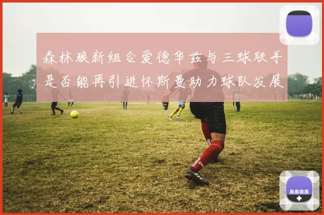 森林狼新组合爱德华兹与三球联手是否能再引进怀斯曼助力球队发展