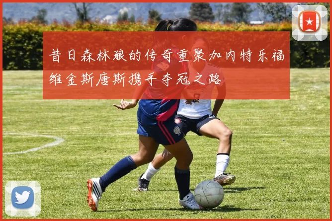 昔日森林狼的传奇重聚加内特乐福维金斯唐斯携手夺冠之路